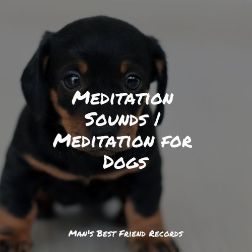 Music for Pets Library - Meditation Sounds  Meditation for Dogs - 2022
