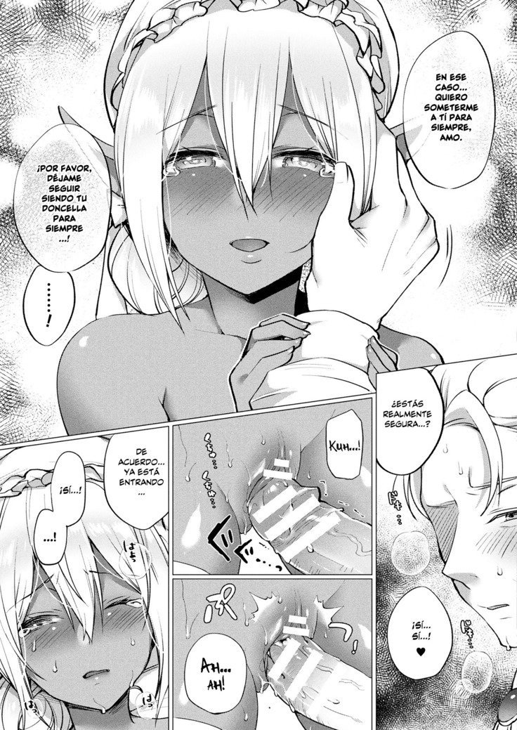 Dark Elf no Koi Monogatari - 12