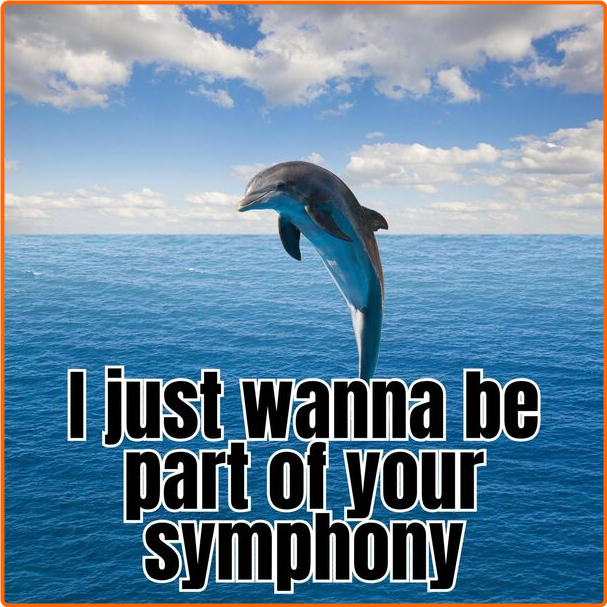 Various Artists - I Just Wanna Be Part Of Your Symphony (2024) [320 Kbps] XyQRB4cO_o