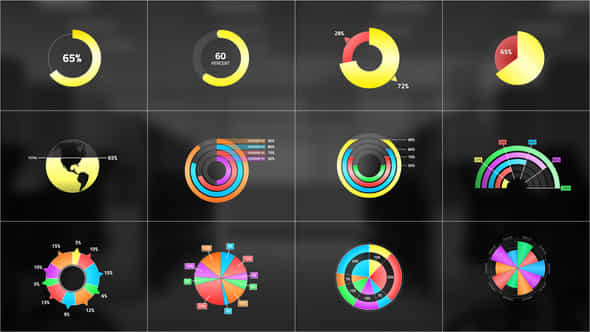 Circle Chart Infographic - VideoHive 42210982