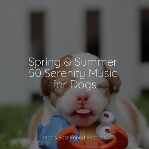 Relaxation Music For Dogs - Spring & Summer 50 Serenity Music for Dogs - 2022