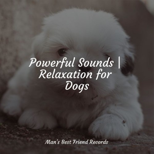 Music for Dogs Collective - Powerful Sounds  Relaxation for Dogs - 2022