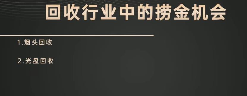 山行网创28招10. 山行网创百科全书：光盘回收项目月入过万