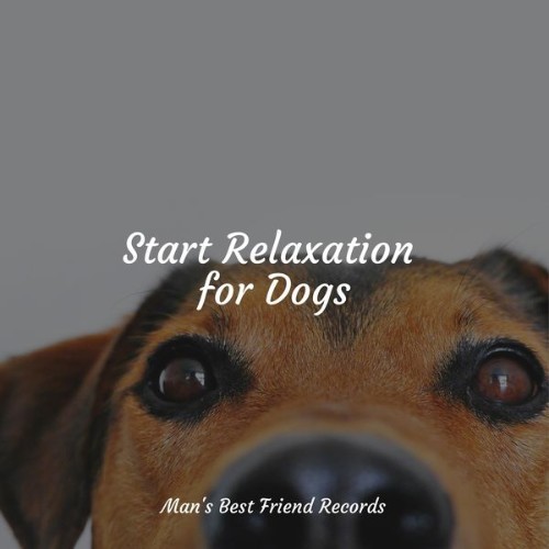 Official Pet Care Collection - Start Relaxation for Dogs - 2022