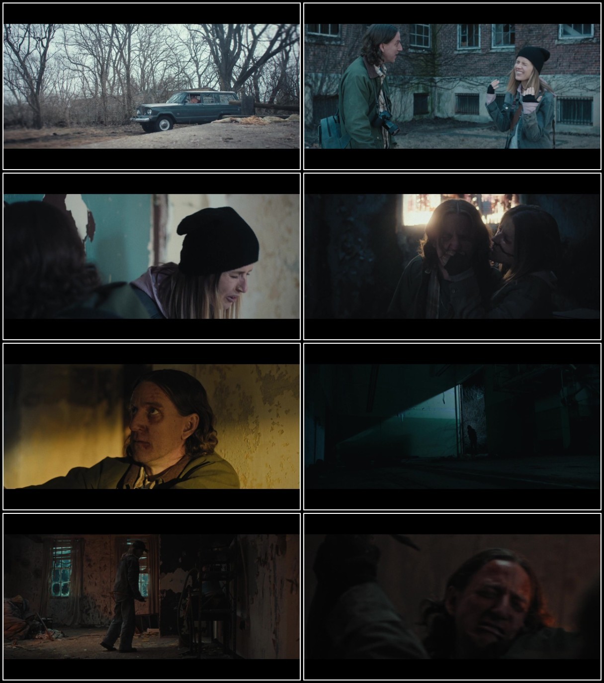 Black Mold (2023) 720p WEB h264-DiRT Xu6o5zIZ_o