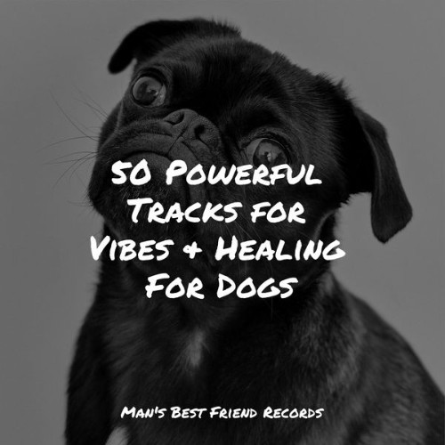 Pet Care Club - 50 Powerful Tracks for Vibes & Healing For Dogs - 2022