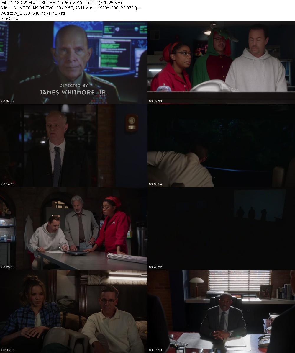 NCIS S22E04 1080p HEVC x265-MeGusta