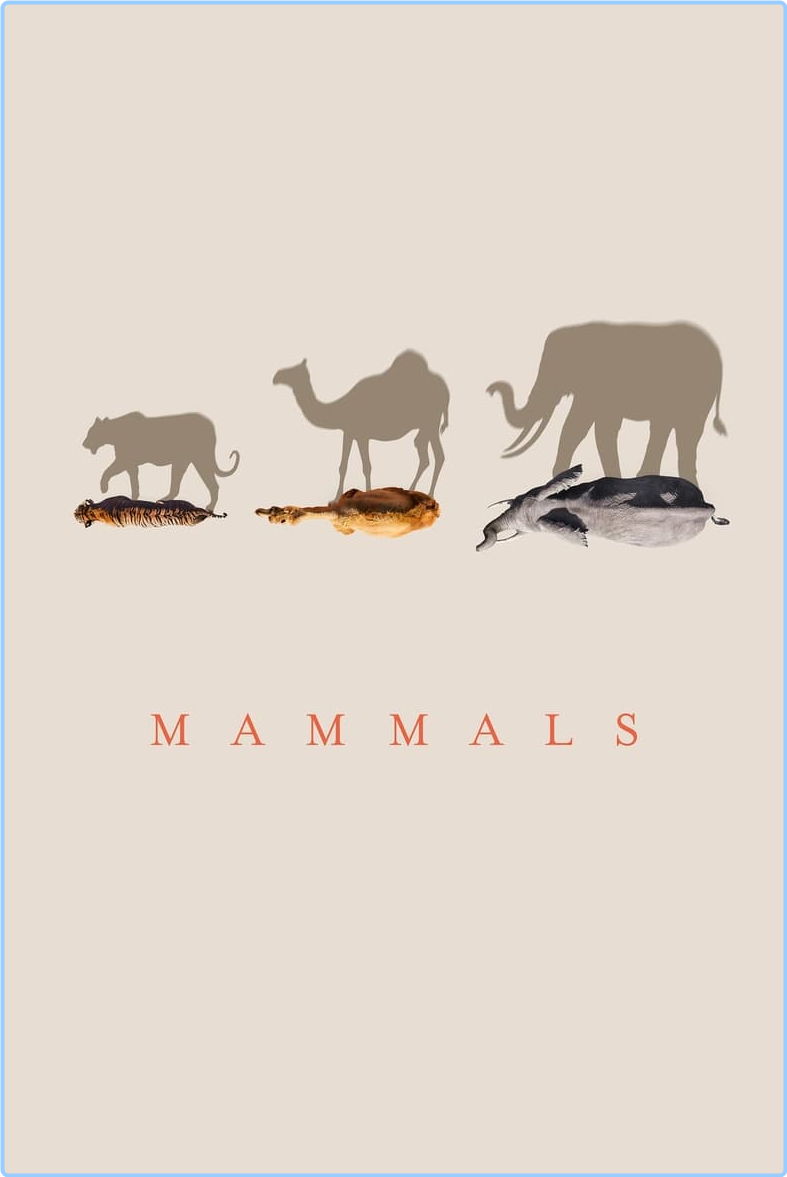 Mammals (2024) S01 COMPLETE [1080p] (H264) ZgE4qmj4_o