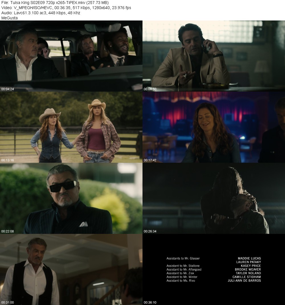 Tulsa King S02E09 720p x265-TiPEX