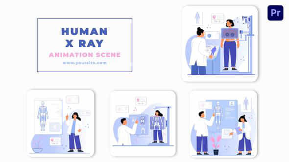 Human X Ray - VideoHive 46442062