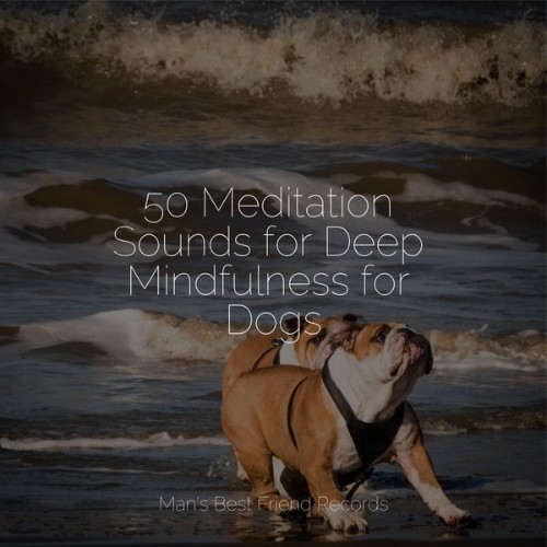 Relaxing Music for Dogs - 50 Meditation Sounds for Deep Mindfulness for Dogs - 2022