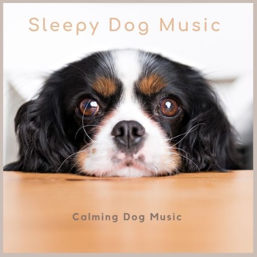 Sleepy Dog Music - Calming Dog Music - 2022
