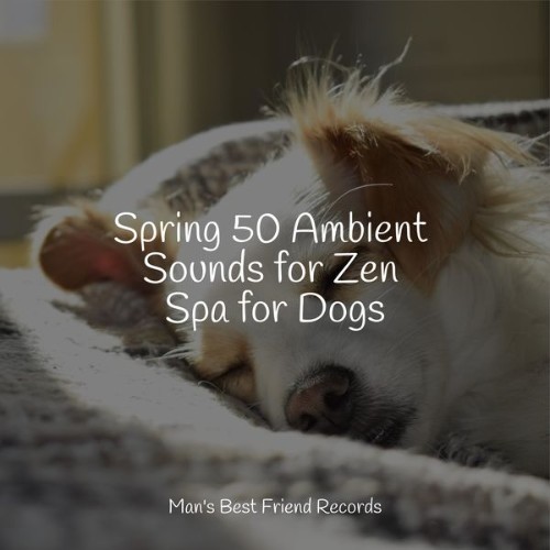Sleeping Music For Dogs - Spring 50 Ambient Sounds for Zen Spa for Dogs - 2022