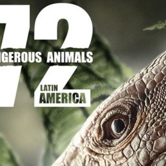 72종의 위험한 동물들: 라틴아메리카