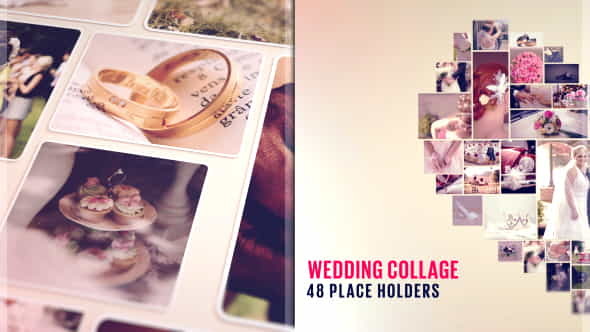 Wedding collage - VideoHive 19328855