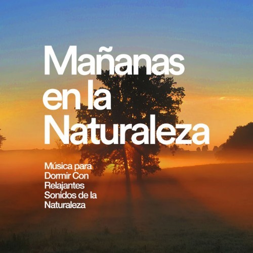 Relajacion del Mar - Mañanas en la Naturaleza - 2019