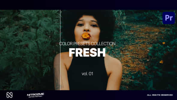 Fresh LUT Collection - VideoHive 47632773