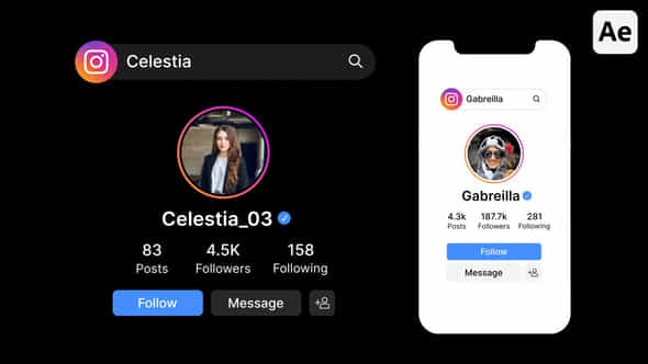 Instagram Search Bar Profile Result - VideoHive 52405270