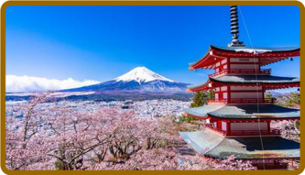 Japanese for Beginners | Level 1 | Interactive Online Course