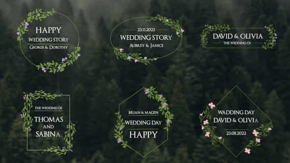 Wedding Titles - VideoHive 46425688