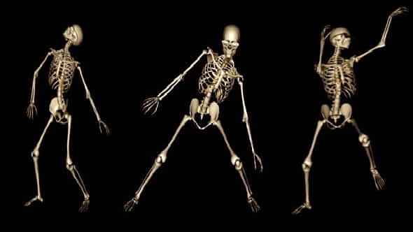 Skeleton Funny Dance - VideoHive 1558243
