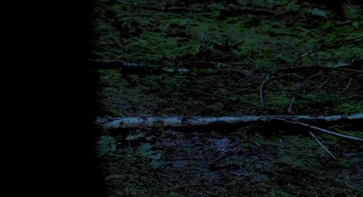 Shadowland 2021 HDRip XviD AC3-EVO Shadowland 2021 HDRip XviD AC3-EVO