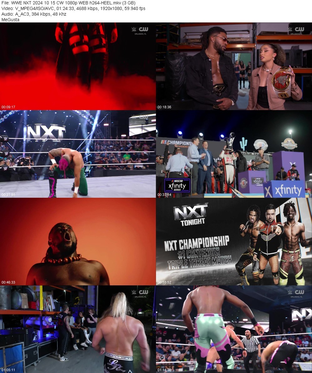 WWE NXT 2024 10 15 CW 1080p WEB h264-HEEL