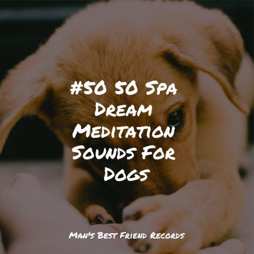 Sleeping Music For Dogs - #50 50 Spa Dream Meditation Sounds For Dogs - 2022