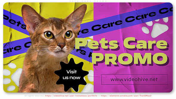 Pets Care Promo - VideoHive 45024534