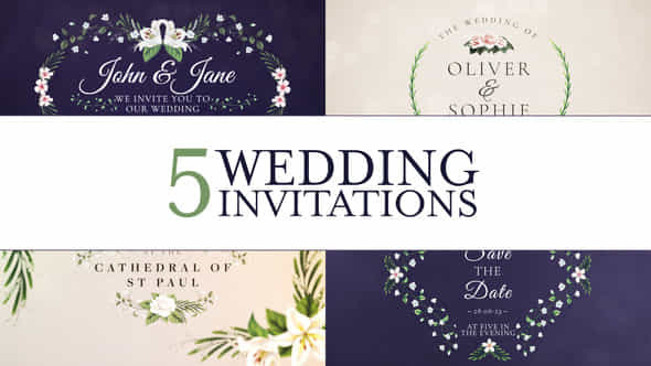 Wedding Invitation - VideoHive 45213891