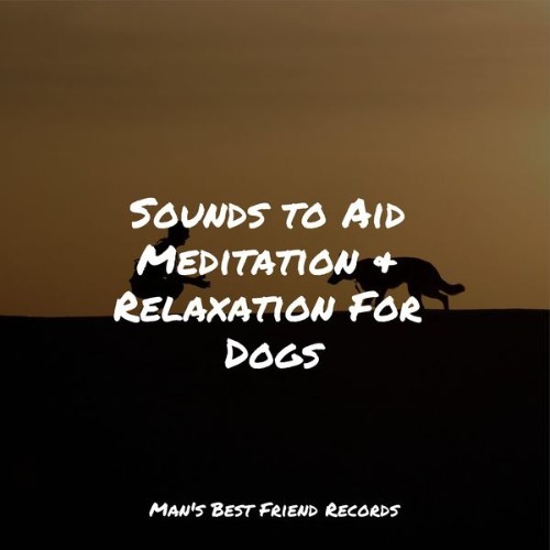 Dog Music Club - Sounds to Aid Meditation & Relaxation For Dogs - 2022