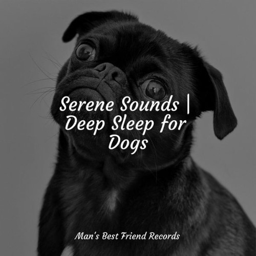 Pet Care Club - Serene Sounds  Deep Sleep for Dogs - 2022