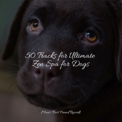 Official Pet Care Collection - 50 Tracks for Ultimate Zen Spa for Dogs - 2022