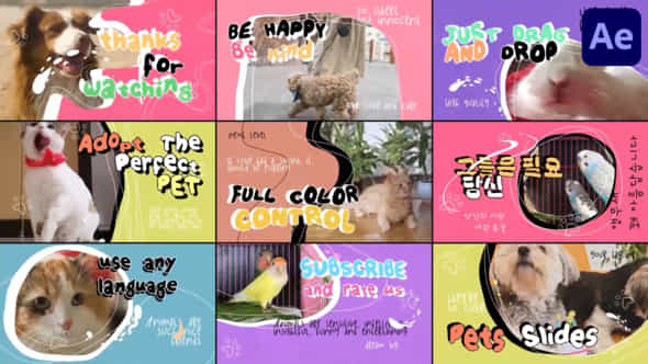 Pets Slides - VideoHive 47639374