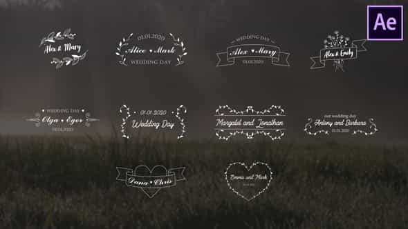 Wedding Titles | After Effects - VideoHive 26464526
