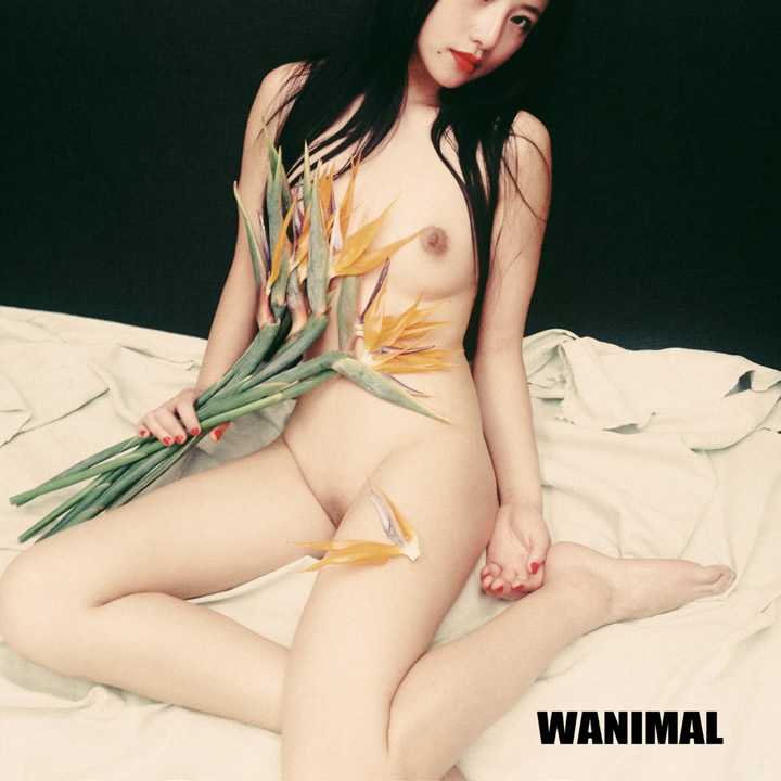 Wangyong Wanimal Palace Great Wall Model Zhang Jianling's human body picture 19