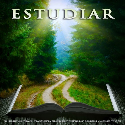 Música Para Leer - Estudiar Sonidos de la naturaleza para estudiar y relajar música de piano para...