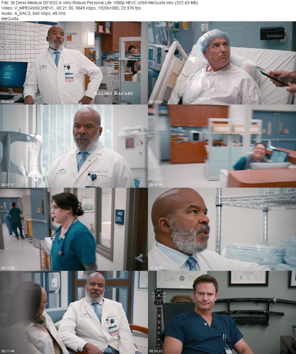 St Denis Medical S01E02 A Very Robust Personal Life 1080p HEVC x265-MeGusta