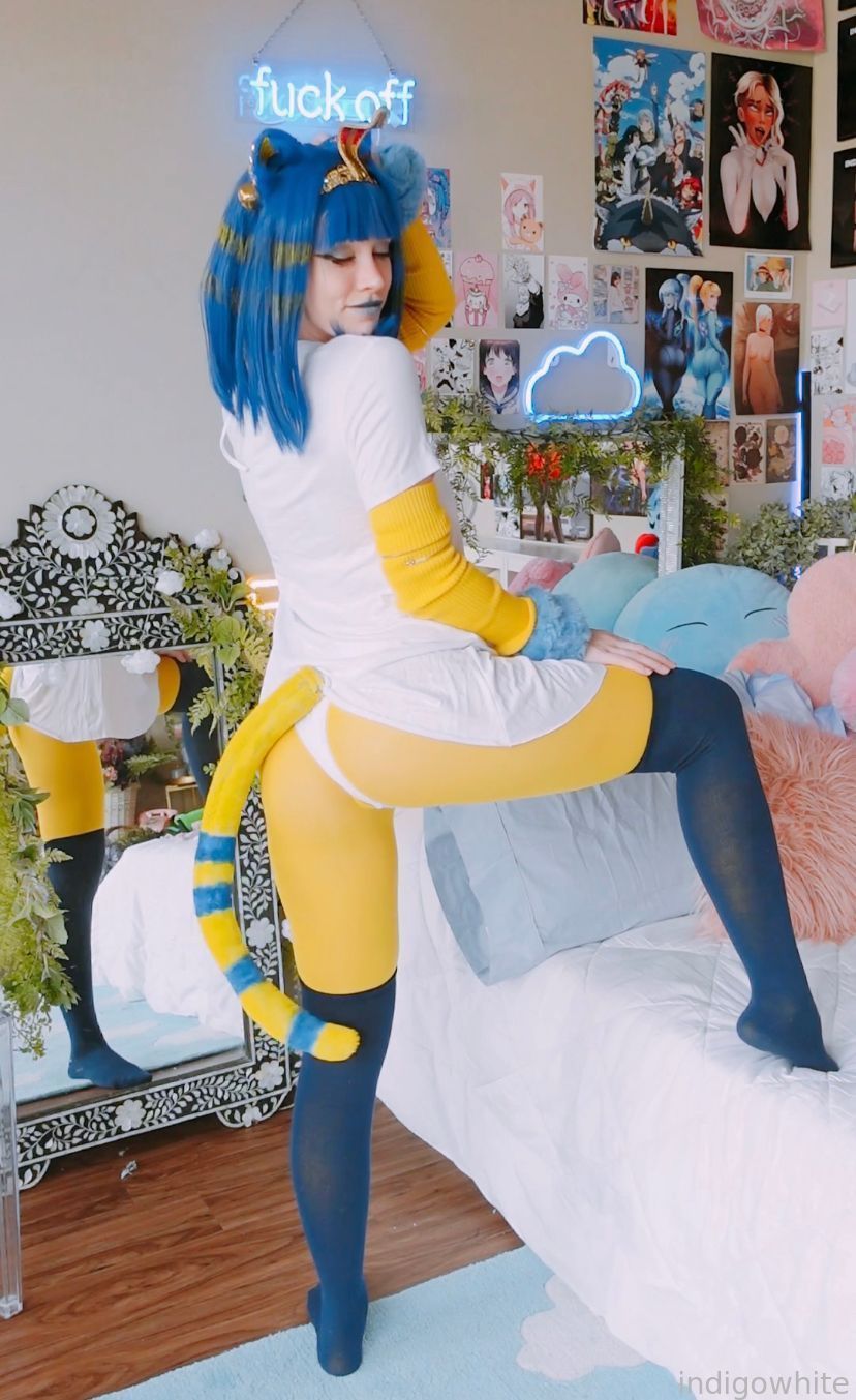 Indigo White - Ankha