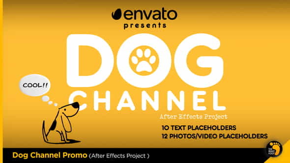 Dog Channel Broadcast Pack - VideoHive 23759634