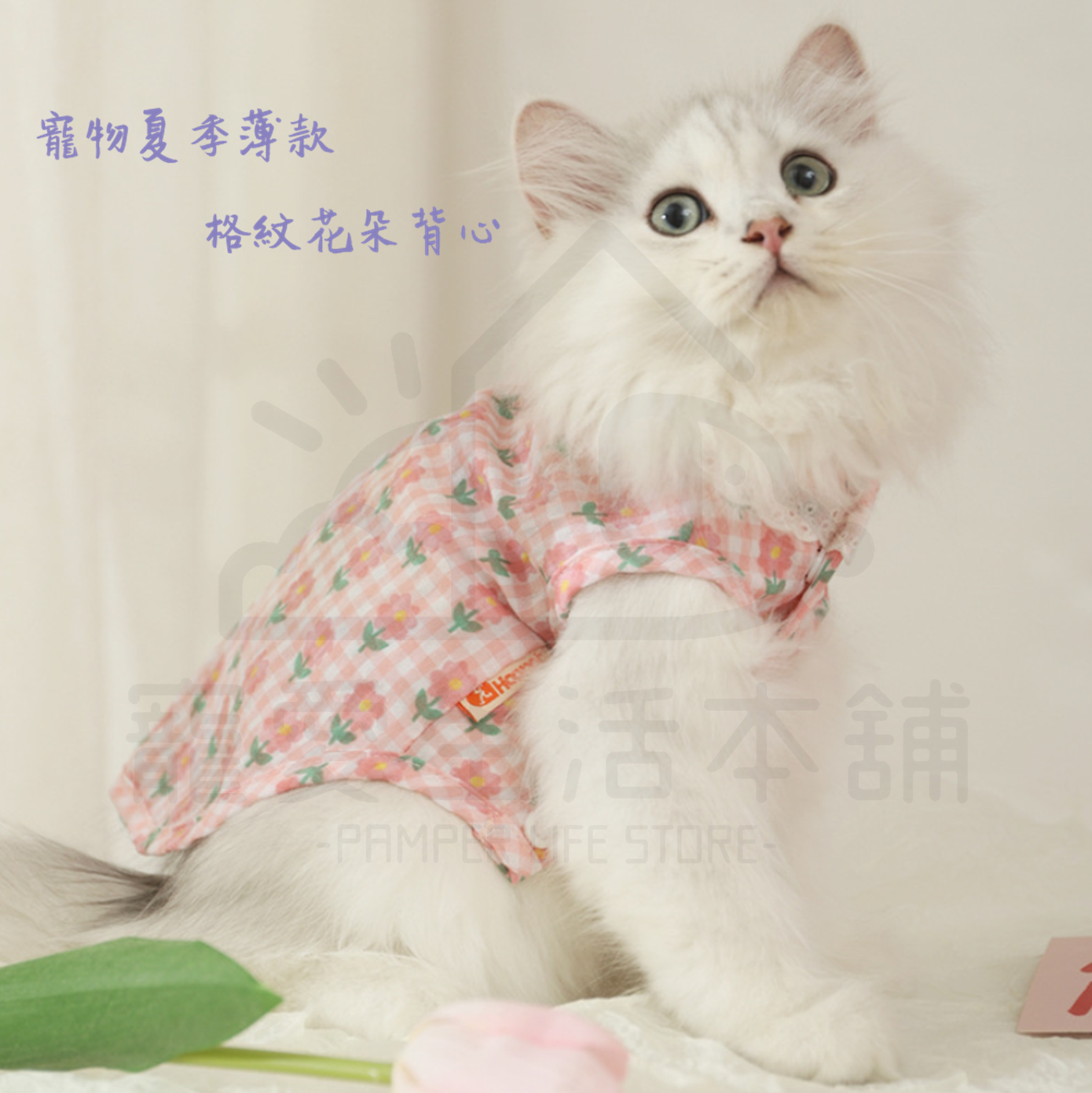 Ur43833g o