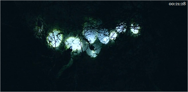 Movie cover image