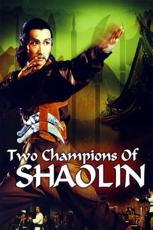 Two Champions Of Shaolin 1980 x264 720p Esub HD Dual Audio English Hindi GOPISAHI