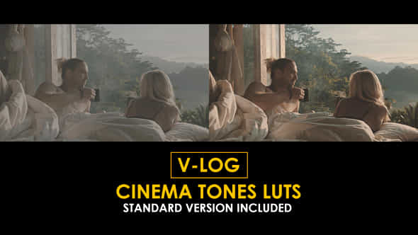 Vlog Cinema Tones And Standard Luts - VideoHive 51434490