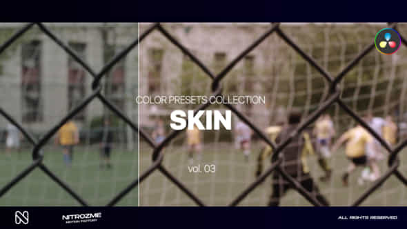 Skin LUT Collection - VideoHive 48141178