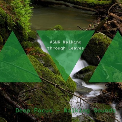 ASMR Walking through Leaves - Deep Focus – Walking Sounds - 2022