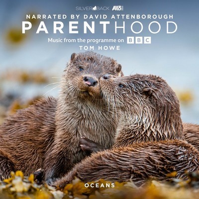 Parenthood: Oceans Soundtrack