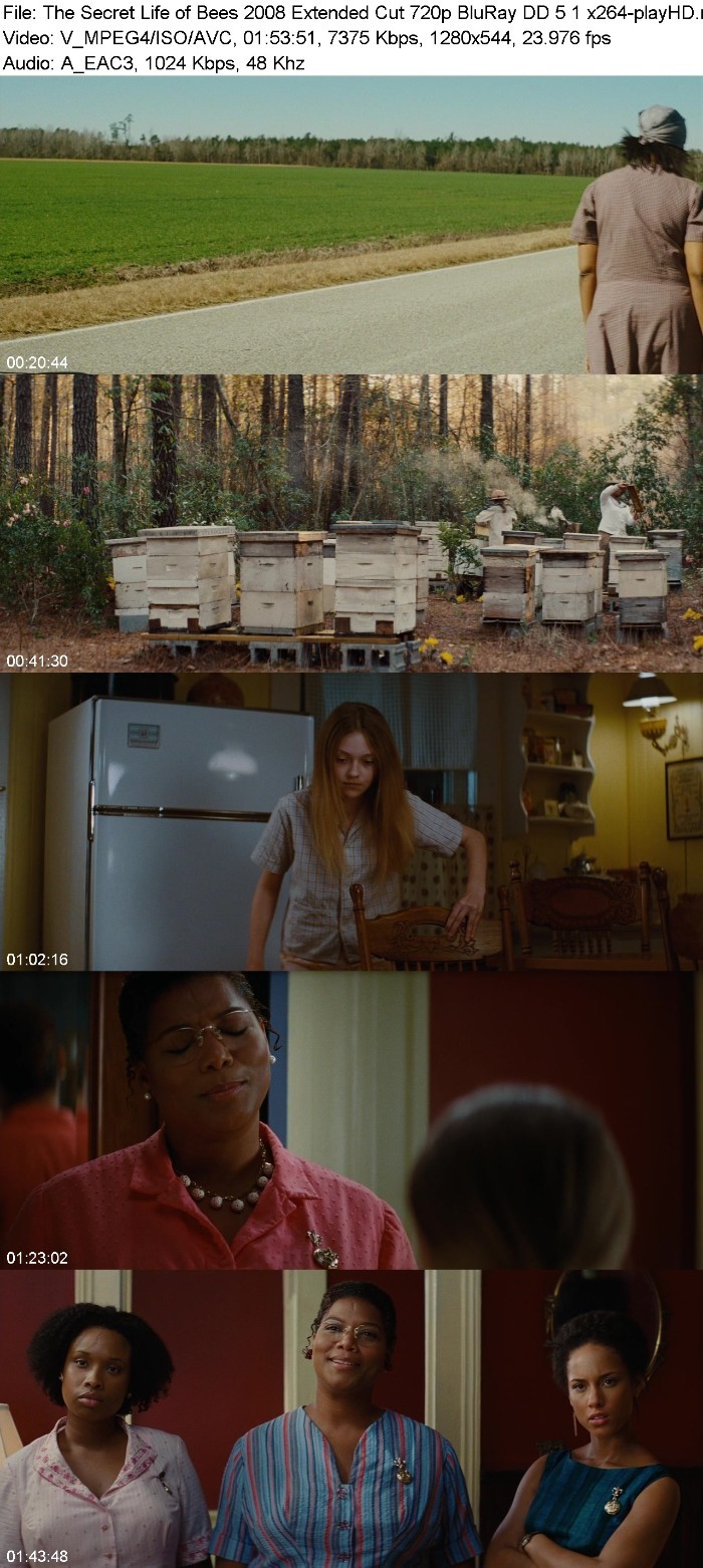 The Secret Life of Bees 2008 Extended Cut 720p BluRay DD 5 1 x264-playHD EYVx60ye_o