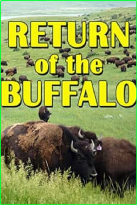 The American Buffalo (2023) [720p] (x265) FFgz5iOJ_o