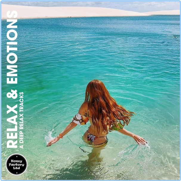 Various Artists - Relax & Emotions A Deep Relax Tracks (2024) WEB [FLAC] 16BITS 44 1KHZ SIZvPiiO_o